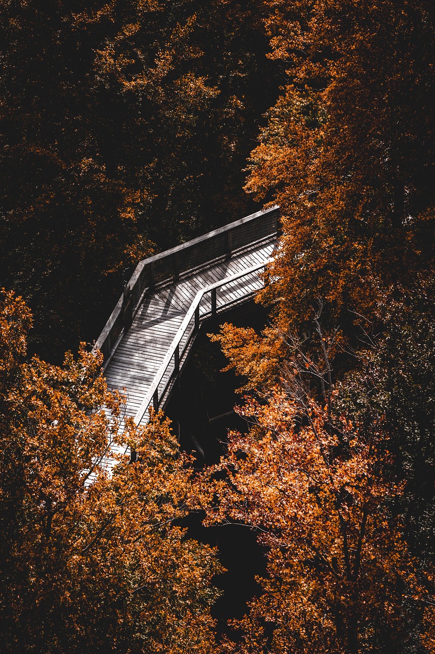 FUNDING NATURE